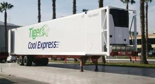 十年堅守難抵行業寒流 Tiger Cool Express倒閉折射貨代業轉型之痛